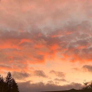 Meet your Posher, Austine